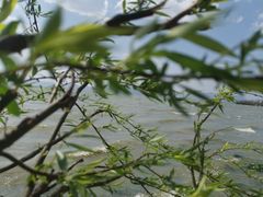 -捞渔河湿地公园