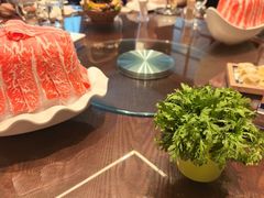 -东海怡品海鲜豆捞(舟宿夜江店)