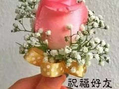 -大雄寿司(中华广场店)