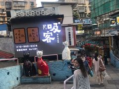 -猫咪博物馆(顶澳仔猫街店)