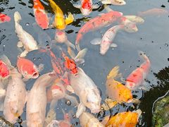 -聚福宝合苑食府(南头镇店)