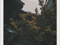 -南锣鼓巷