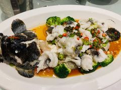 石斑鱼-南海渔村(火炬园店)