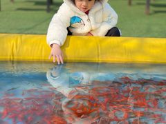 -小鱼草莓采摘园农家乐·小鱼餐厅