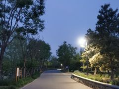 -东郊湿地公园