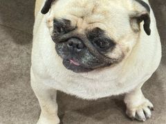 -临江宴餐厅·野生鱼·山里菜(富春江店)