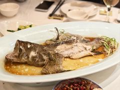 清蒸龙趸石斑鱼-顺峰(阜成店)