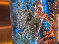 -ONE FULL 古董港式海鲜火锅