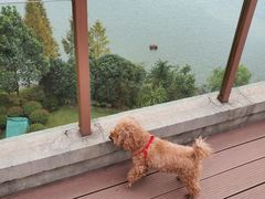 -宁波九龙湖开元度假村