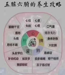 -香薇妮丝女子减肥院