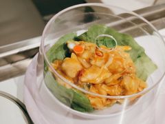 -元气寿司(金光华店)