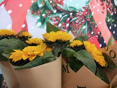 -BOBLOOM花店(宝龙旭辉广场店)