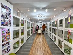 -青奢宠物·青奢猫舍