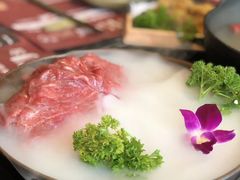 -盡膳口福·百年汤方火锅(科华北路店)