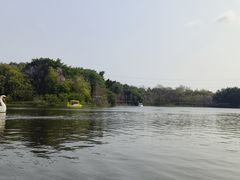 -广东花都湖国家湿地公园