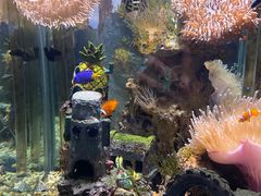 -太平洋海底世界