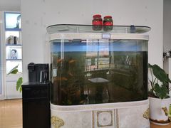 -云镜眼镜加工中心(南环路店)