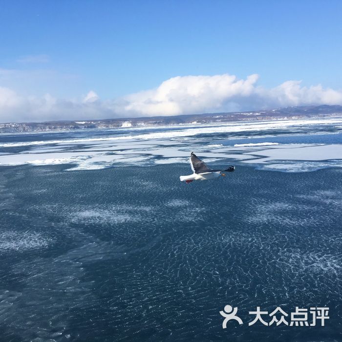 网走流冰观光破冰船极光号