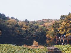 -天目湖山水园
