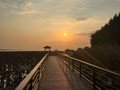 -阳澄湖半岛旅游度假区