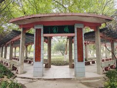-西南政法大学(沙坪坝校区)