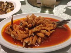 -陈麻婆豆腐总店