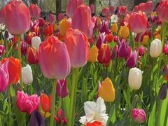 -国家植物园南园