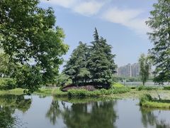 -金银湖国家城市湿地公园