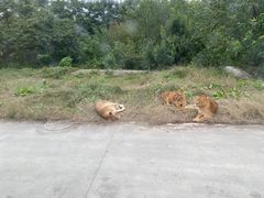 -西安秦岭野生动物园
