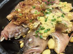 -金龙·打边炉(南京西路店)