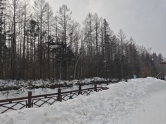 -峡谷浮石林景区