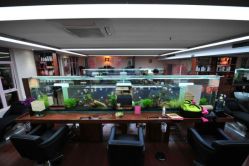 土豪鱼缸-小左美发