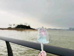 -野狸岛