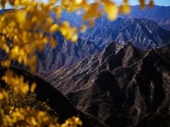 -大岭沟猕猴桃谷风景区