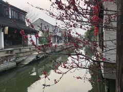 -黎里王记辣脚(黎里总店)