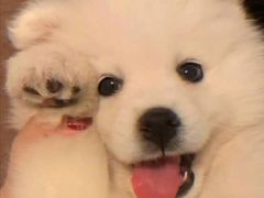 -全家便利店(星湖街店)