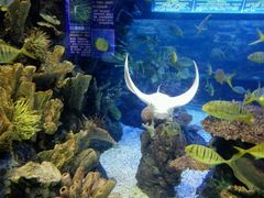 -左海海底世界