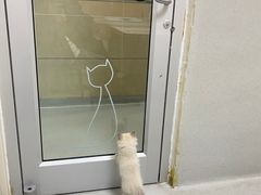 -谐和益家动物医院·免疫绝育·血液透析·宠保定点医院(高新伊藤分院)