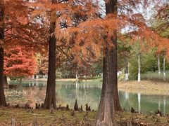 -白塘生态植物园