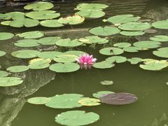 -扬州瘦西湖汇金酒店