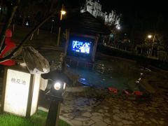 -洪湖悦兮半岛国际温泉度假村