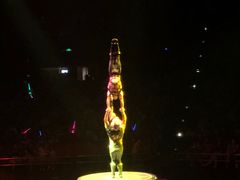 -珠海横琴长隆《卡卡虎奇遇记》