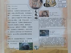-青藏高原野生动物园