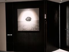 -尼依格罗香港美利酒店