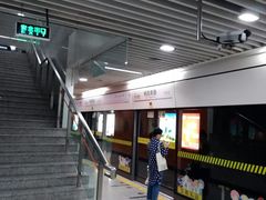 -杨高南路(地铁站)