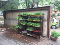 -新竹里馆·花园餐厅(兴苑路店)