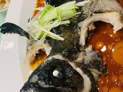 -翠园(北京王府中环店)