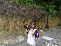 -广州市流溪河国家森林公园