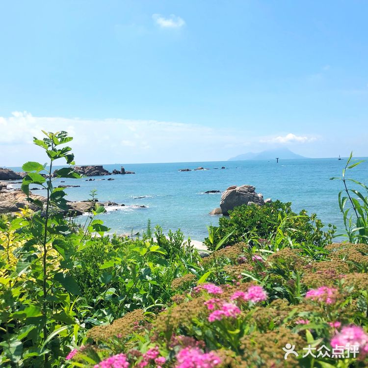 来青岛请收藏🌟｜必玩榜➕小众推荐💎