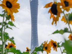 -海心沙亚运公园